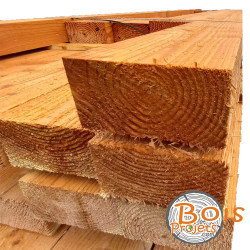 Panne_Douglas_100x300mm